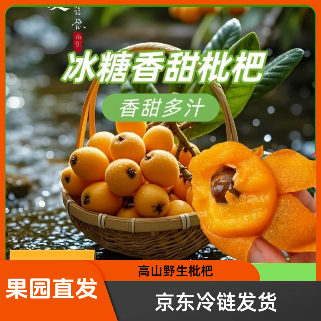 贵州高山野生枇杷应季水果润肺现货枇杷新鲜现摘多汁清甜孕妇水果