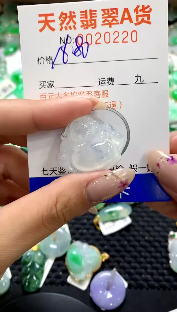 翡翠未镶嵌颈饰1