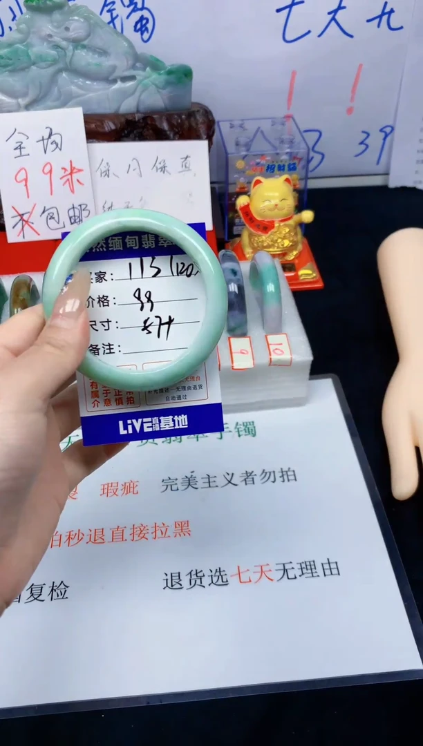 未镶嵌手镯翡翠113