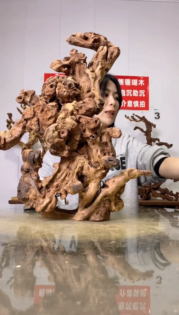 【闪购商品】木60金丝红木 羊蹄甲