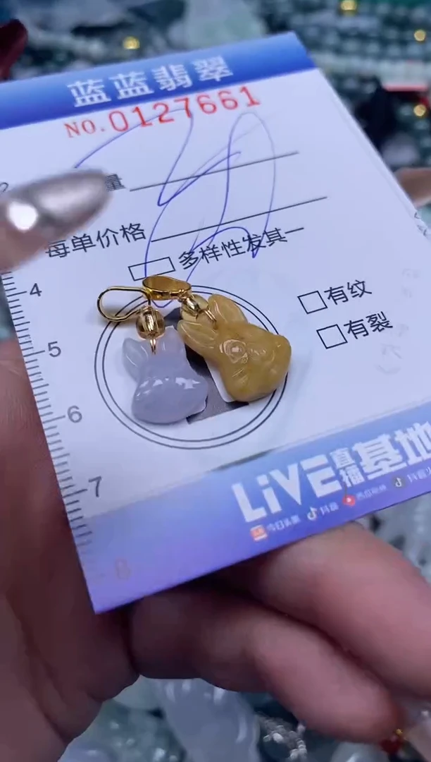 【闪购商品】翡翠颈饰未镶嵌闪购0127661