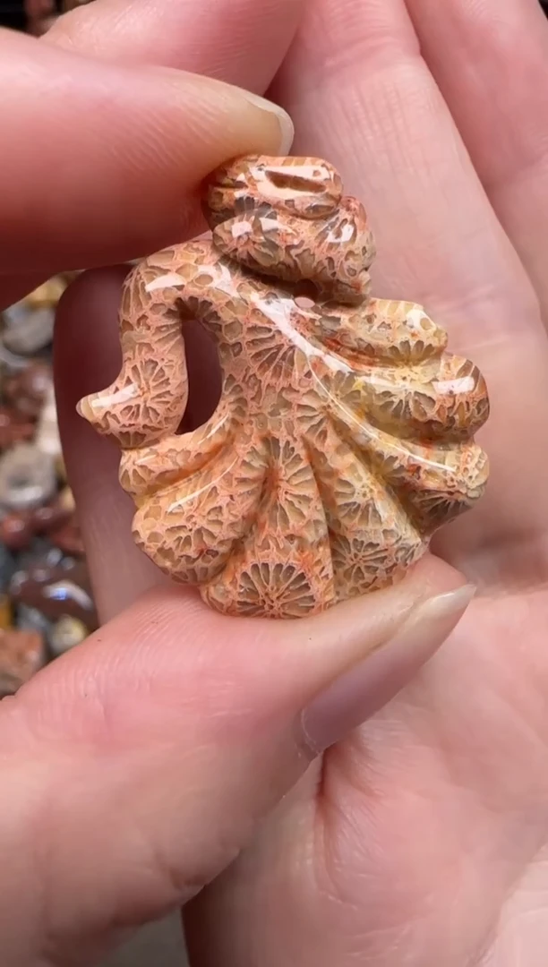 硅化珊瑚（珊瑚玉）未镶嵌颈饰622