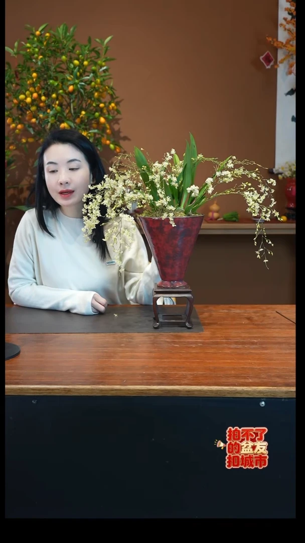 全部花朵香槟梦香