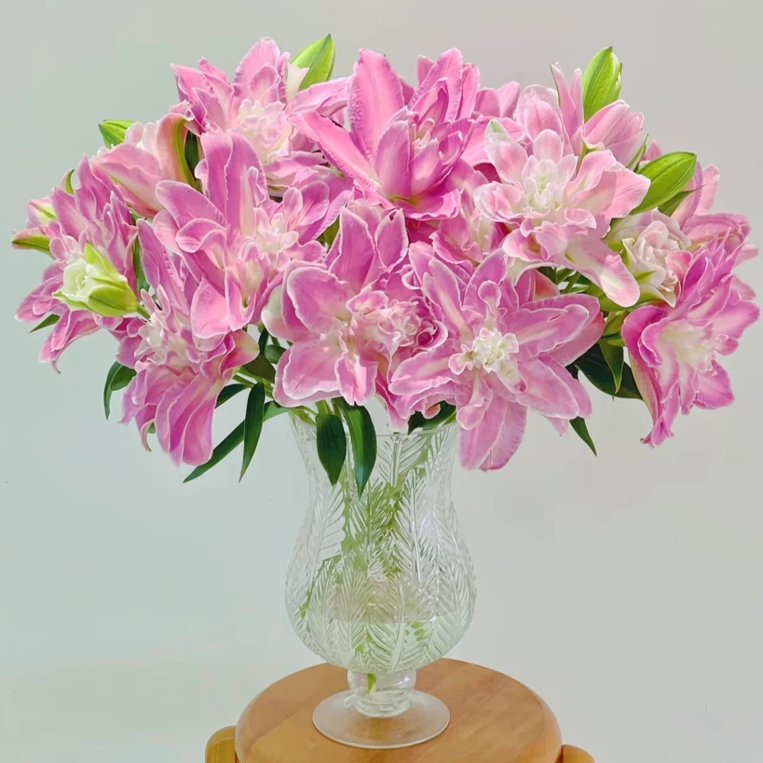 AB级莲花仙子重瓣香水百合花水养鲜切花云南基地直发顺丰冷链包邮