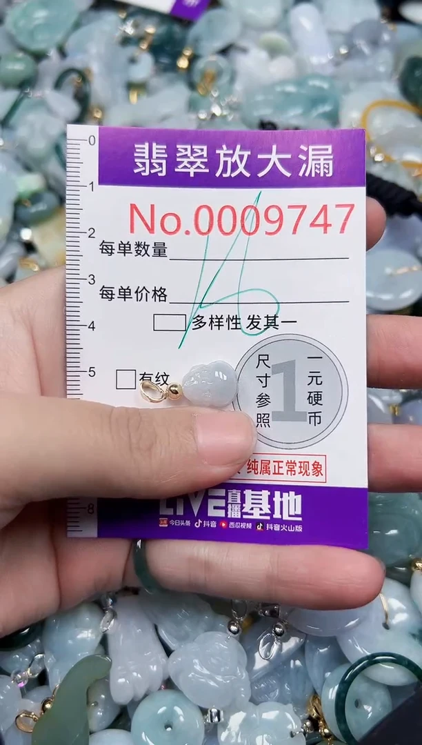 颈饰未镶嵌翡翠9747