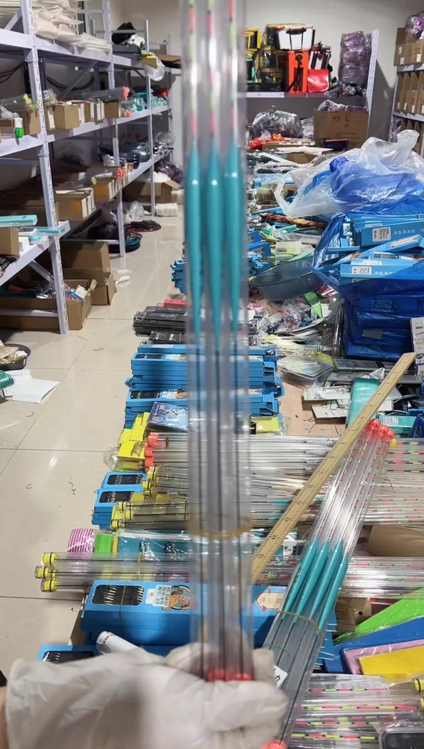 60厘米 4克  4只 纳米 所子票