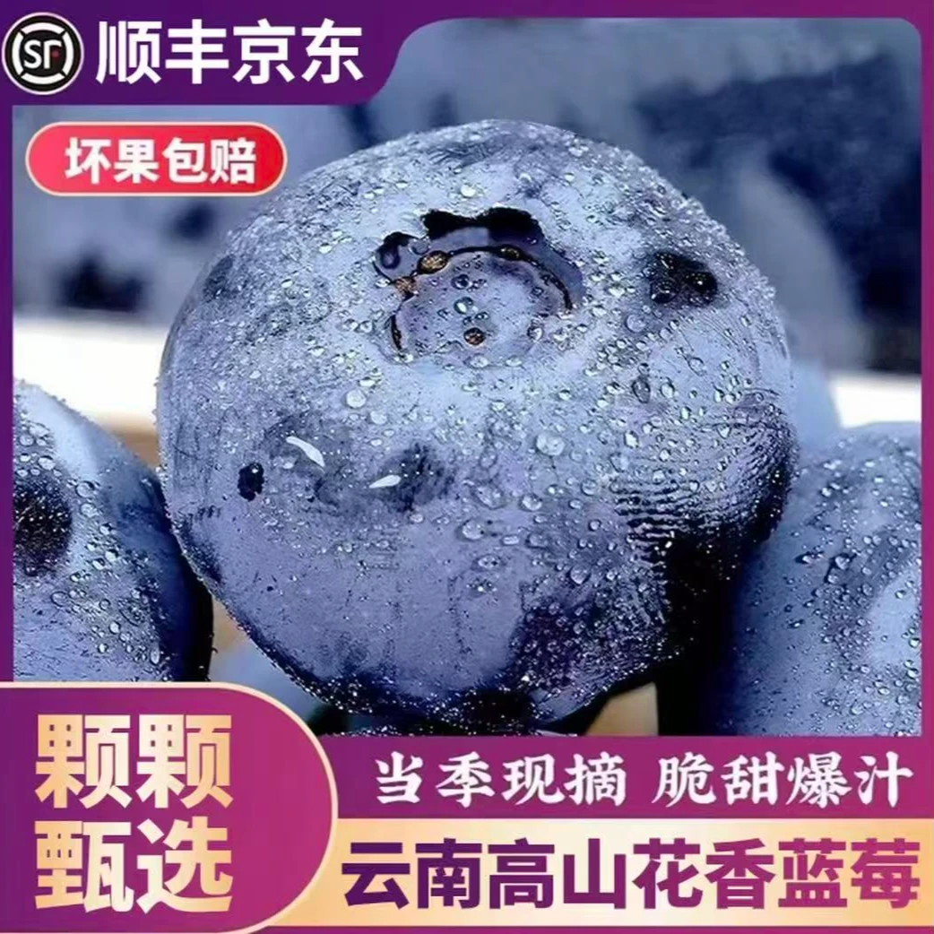 【力荐8盒装】云南花香脆甜蓝莓现摘孕妇高端当季新鲜水果怡颗蓝梅