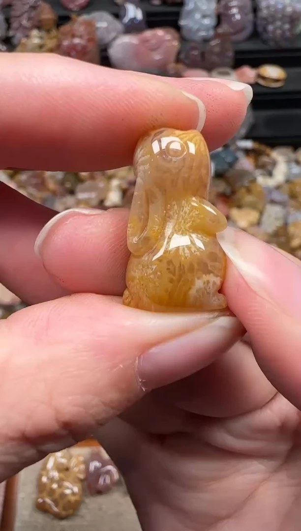 颈饰未镶嵌硅化珊瑚（珊瑚玉）387