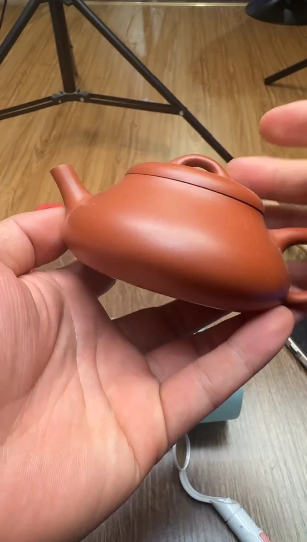 【闪购商品】紫砂茶壶壶以致用 汉唐石瓢 576 退货限购