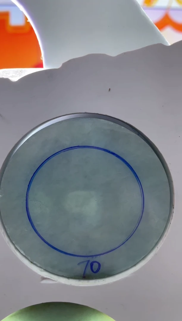 未镶嵌手镯定制翡翠正圈CHC66SZ-DZS