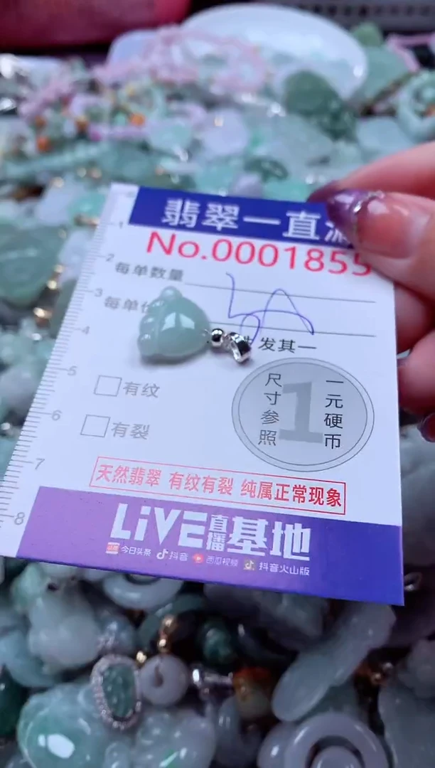 翡翠未镶嵌吊坠(不含链)1855