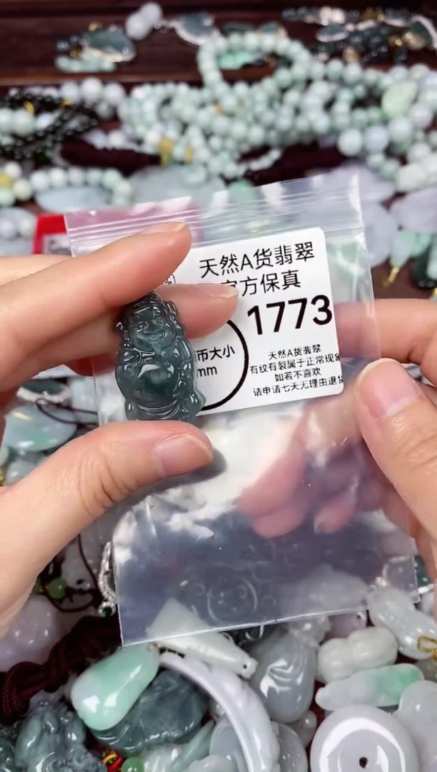 【闪购商品】翡翠颈饰未镶嵌天然A货翡翠1773