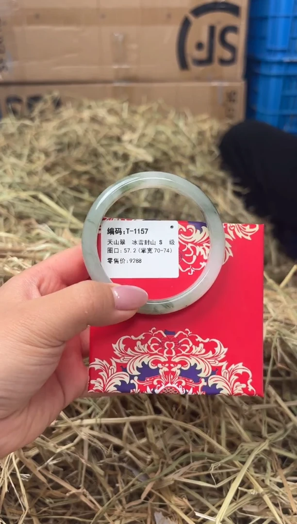 未镶嵌手镯石英质玉T-1157