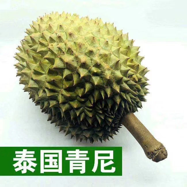 顺丰今天拍明天到，泰国青尼新鲜榴莲包4房2-9斤，大小肉包4房核大青尼泰国