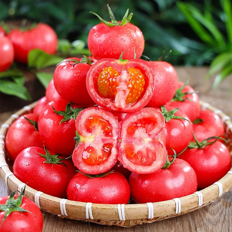 【坏果包赔】山东普罗旺斯西红柿3/4.5斤装番茄新鲜现摘酸甜多汁