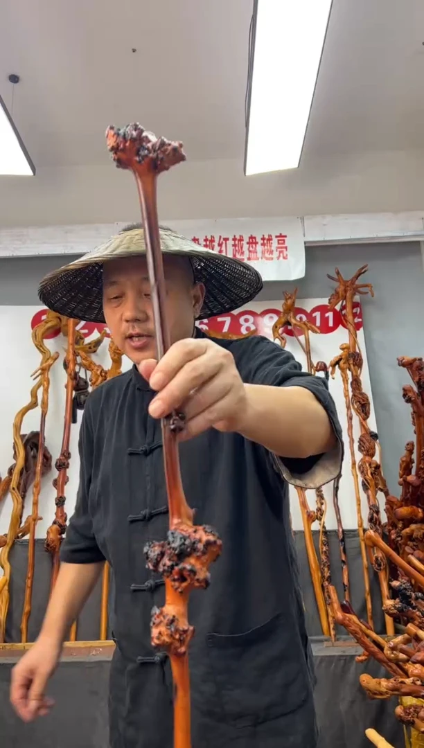 黑果木其他黑果木137