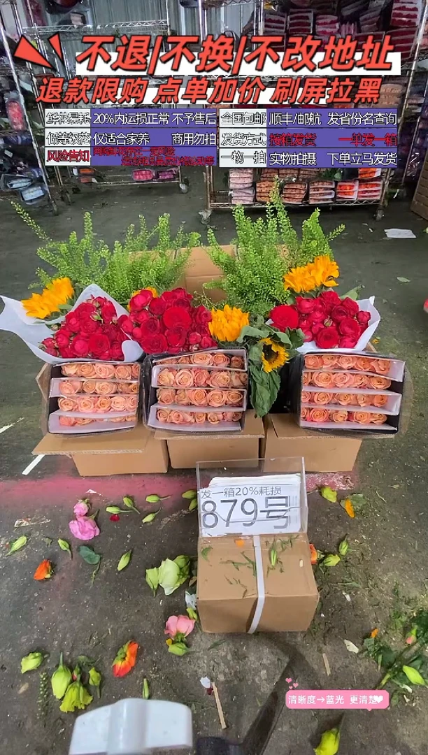879号♥含20%耗损发一箱