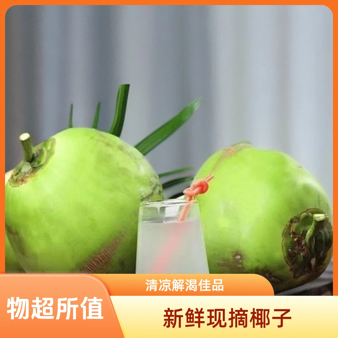 海南新鲜采摘青椰现摘现发