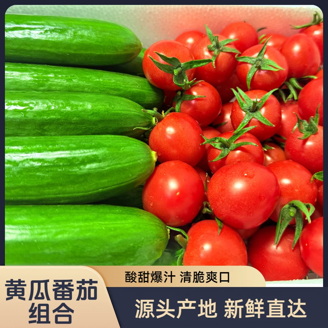 小黄瓜小番茄双拼组合装山东寿光产地直发现摘现发 京东/顺丰包邮