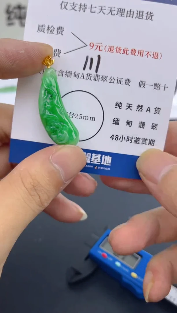 颈饰18K金镶嵌翡翠天然A货翡翠