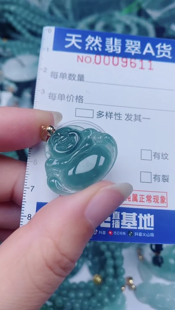 颈饰未镶嵌翡翠00009611
