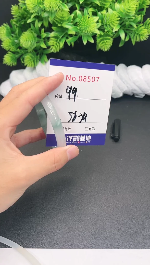 未镶嵌手镯翡翠8507