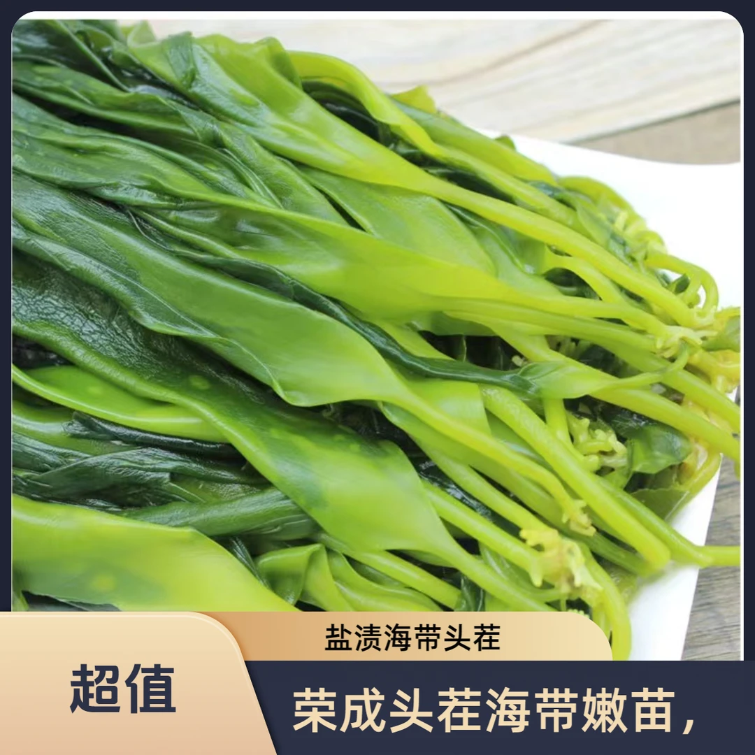 （盐渍）头茬海带苗 嫩海带  五斤一箱 威海发货