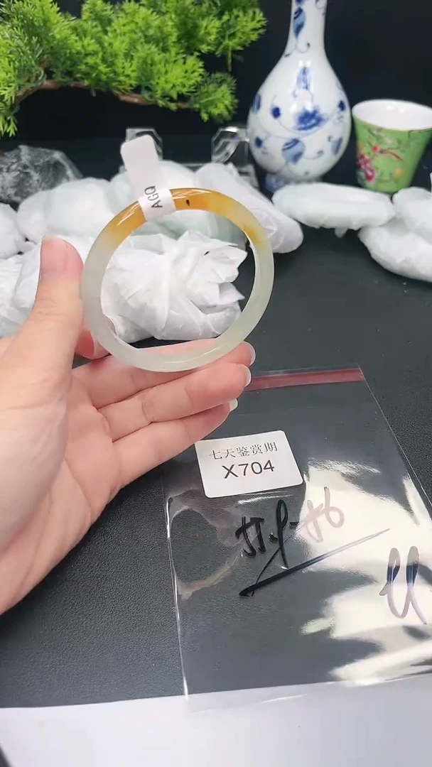 未镶嵌手镯翡翠704