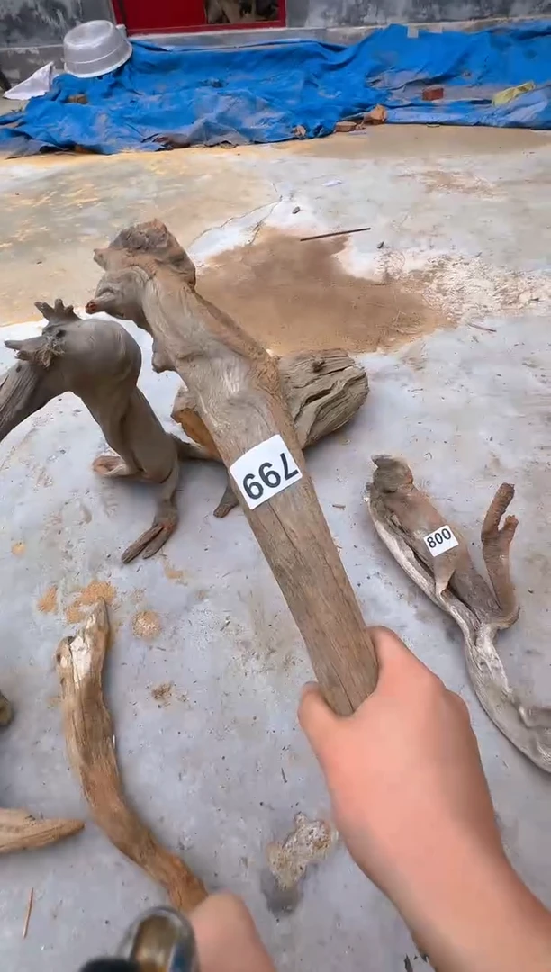 柏木（崖柏）太行陈化崖柏现切先拍！形料799