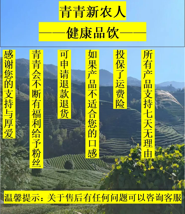 莲子养身茶-核心产区-产品以直播间为准