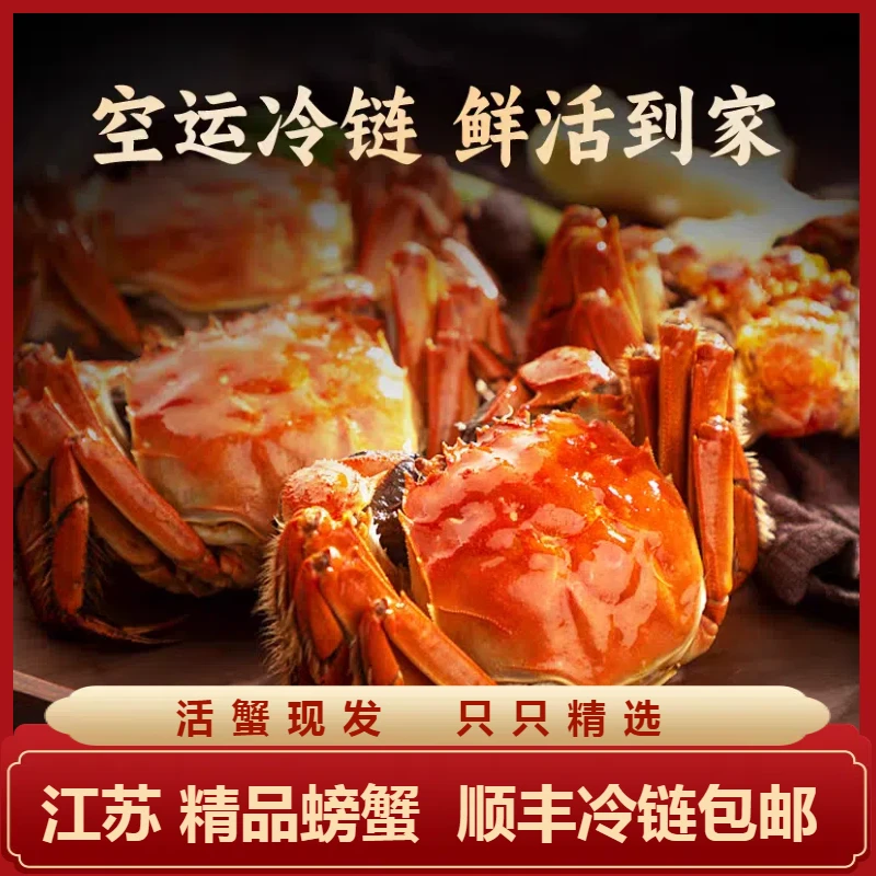 活蟹-江苏精品河蟹公母混发螃蟹新鲜活蟹现捕捞顺丰包邮当日发次日达1.3-1.1两公母混发15只送5只