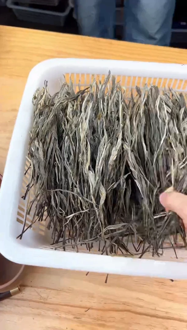 壶24号茶【白云推荐】把500克