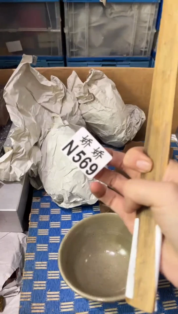 瓷片胡*569定向 胡杨定向 胡杨