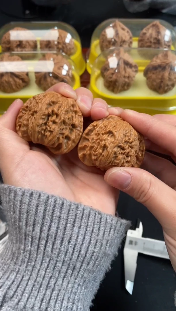 把件文玩核桃白狮子42尺Z210