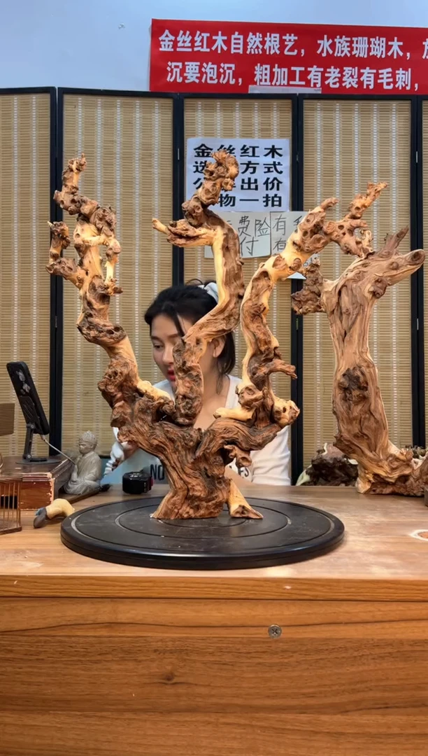 【闪购商品】木云南红河金丝红911
