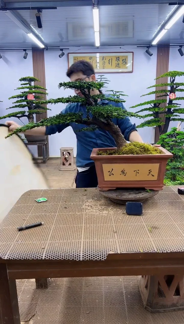 一物一拍，所见即所得