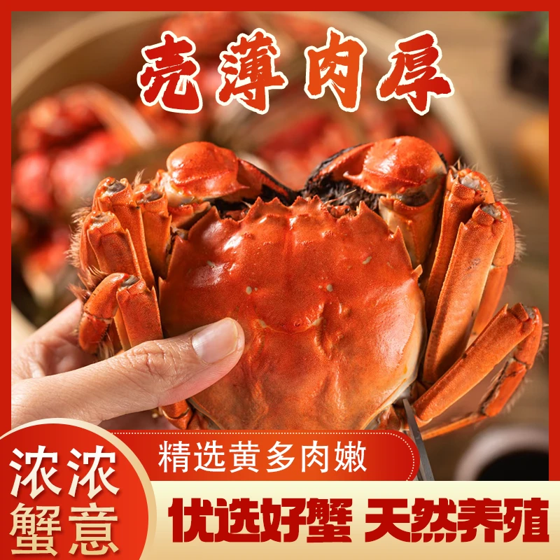 【活蟹】江苏精品蟹全公蟹4.0-3.7两6只加2只到手8只