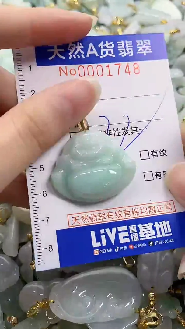 颈饰未镶嵌翡翠纯天然货a翡翠