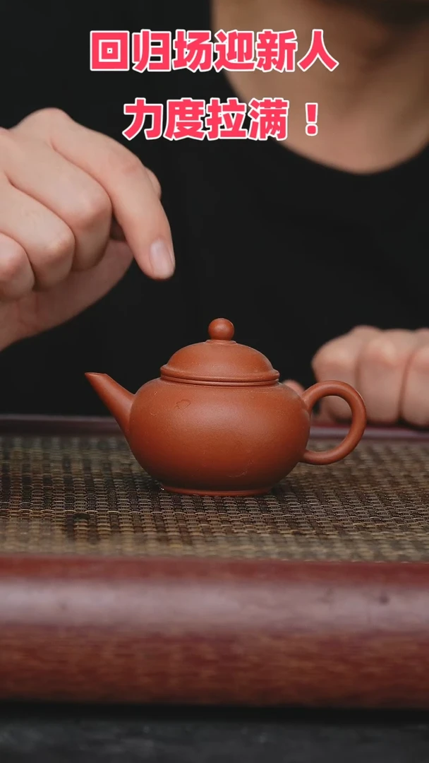 【闪购商品】紫砂茶壶紫砂茶壶