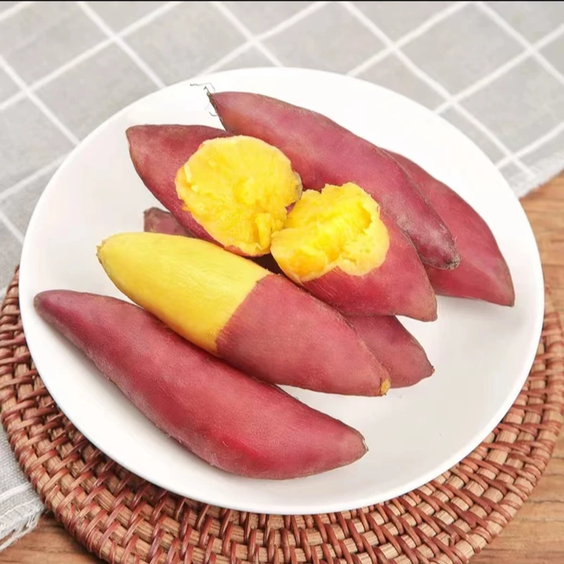 小香薯正宗天目山黄心香甜高山板栗新鲜现挖手指红薯番薯地瓜批发