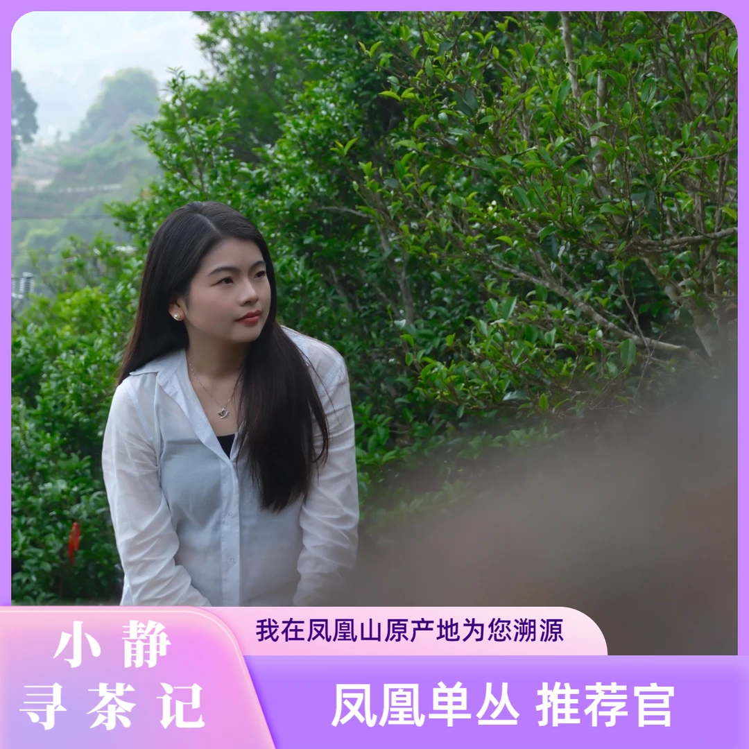小静寻茶记 您身边的单丛茶管家 > 把你喜欢喝什么单丛茶告诉我~