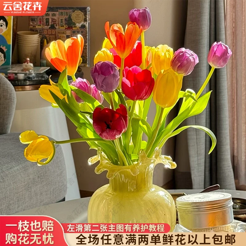 【云舍花卉】方德【混色】郁金香全场鲜花任意满两单及以上包邮发货