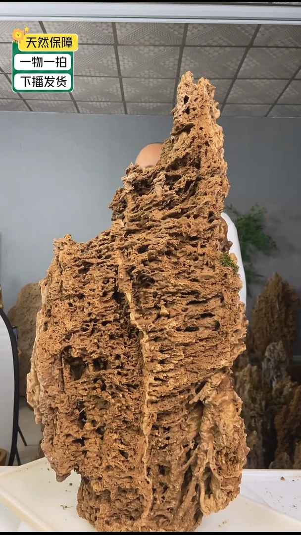 无花朵春**开吸水石111带流水11