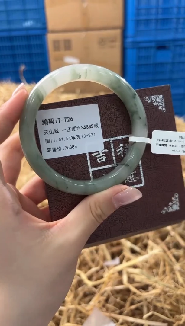 未镶嵌手镯石英质玉T-726