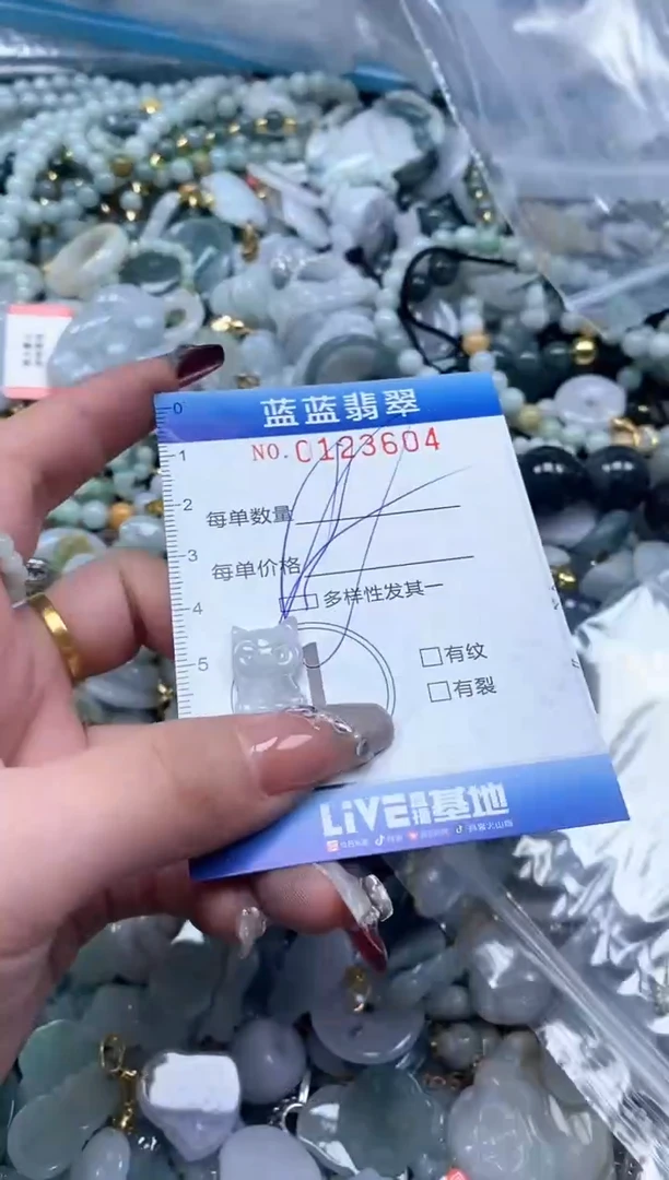 【闪购商品】翡翠颈饰未镶嵌闪购0123604多样性发其一