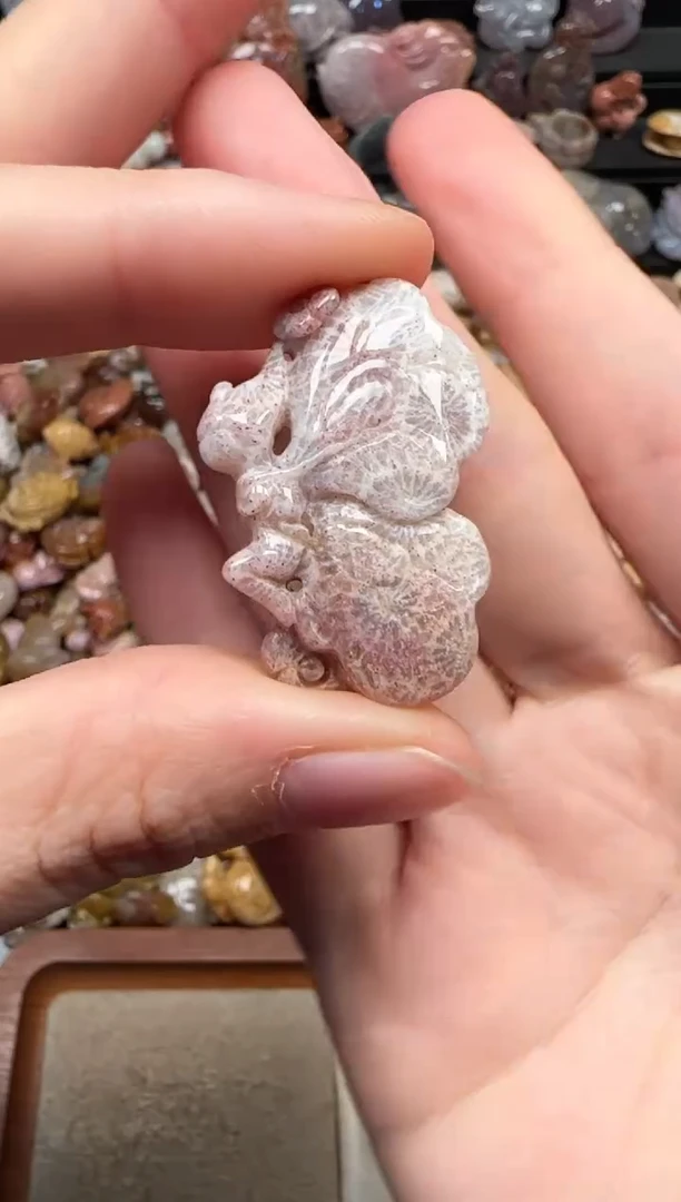 颈饰未镶嵌硅化珊瑚（珊瑚玉）658