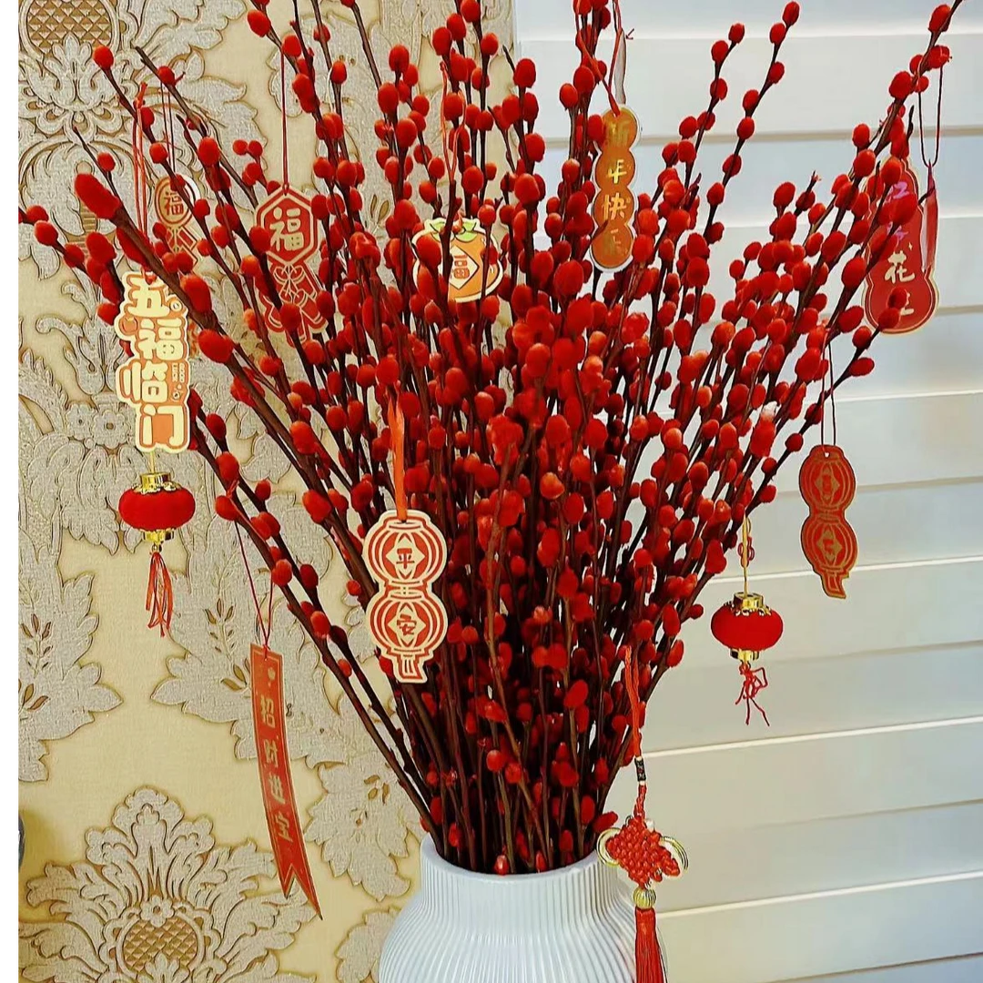 【一品花集】年宵花【银柳】全场满1单包邮