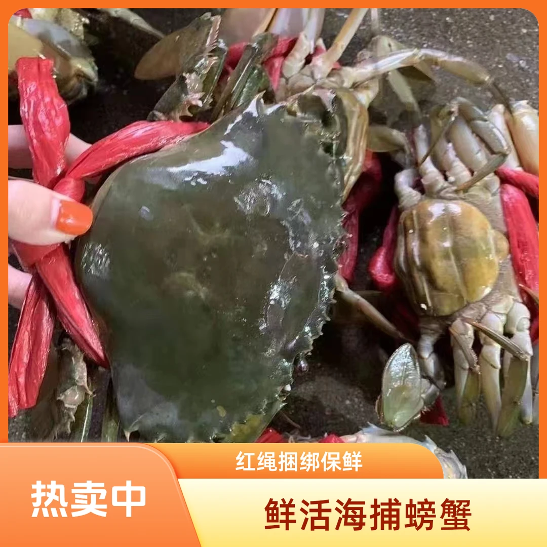 福建漳州东山岛野生红膏蟹包活到家（不要放冰箱）...