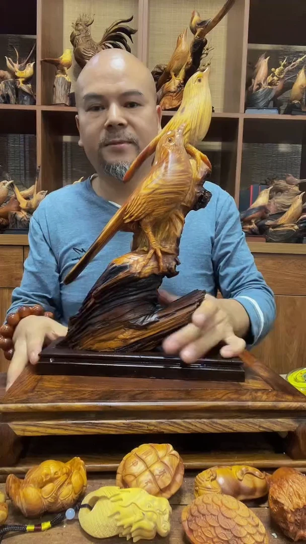 松木小*哥定向 小棋哥