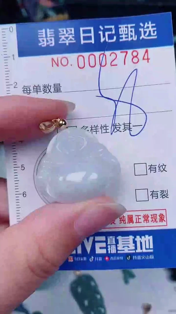 翡翠未镶嵌颈饰00002784